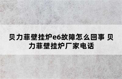 贝力菲壁挂炉e6故障怎么回事 贝力菲壁挂炉厂家电话